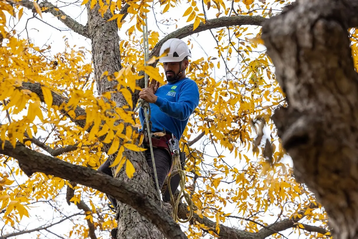 Skilled Storm Damage Cleanup crew working in Bagley